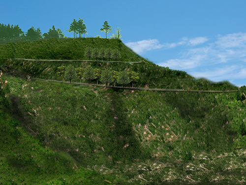 龙山乡山体修复